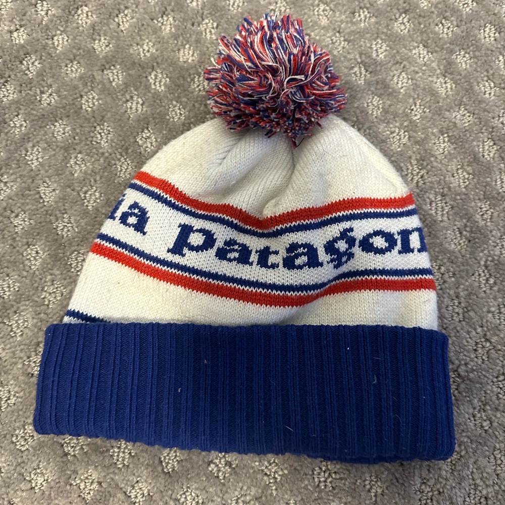 Patagonia winter hat - great condition